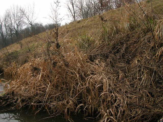 img00026.jpg