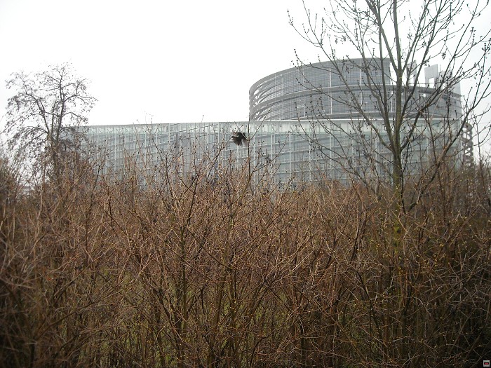 img00014.jpg