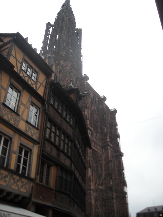 img00024.jpg