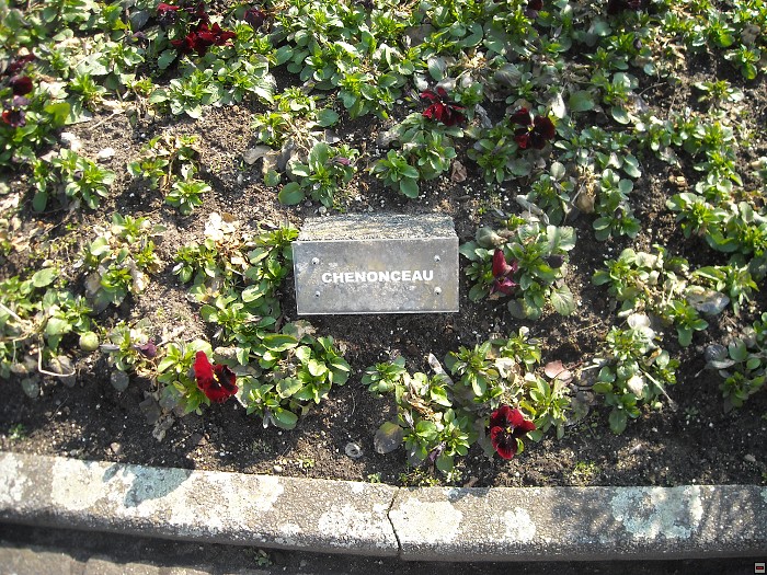 img00109.jpg