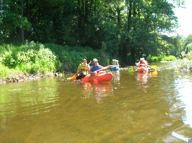 img00043.jpg