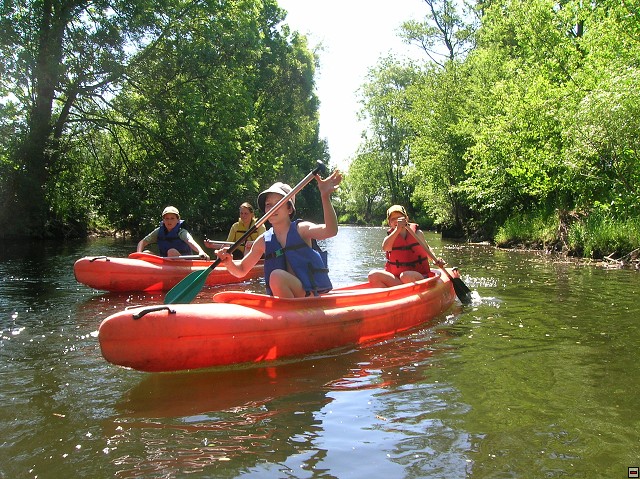 img00052.jpg