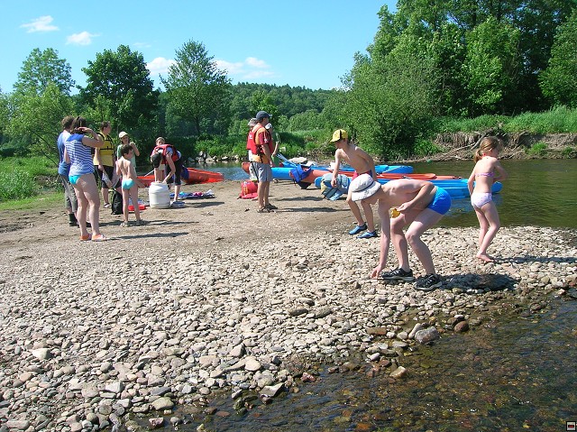 img00056.jpg