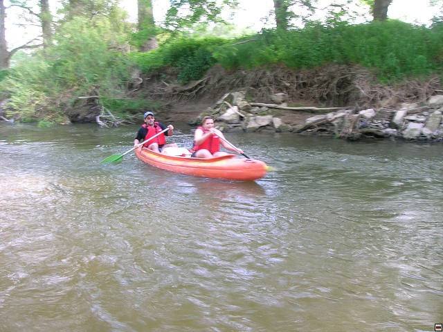 img00091.jpg