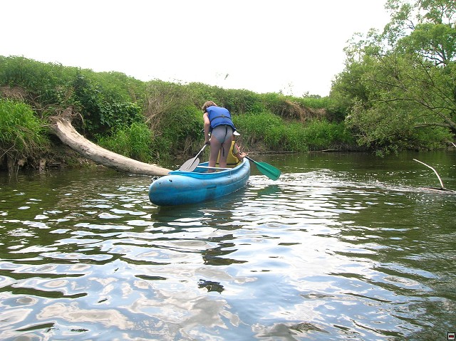 img00095.jpg
