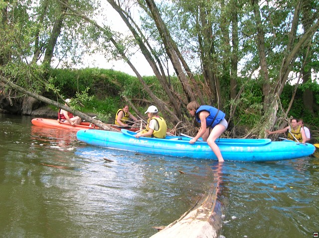 img00099.jpg