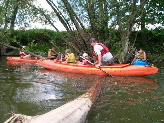 img00100.jpg