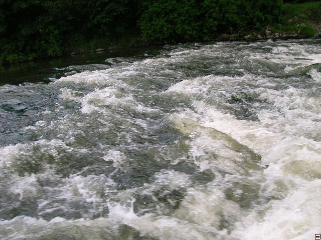 img00113.jpg