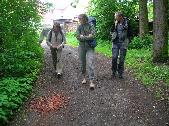 img00004.jpg