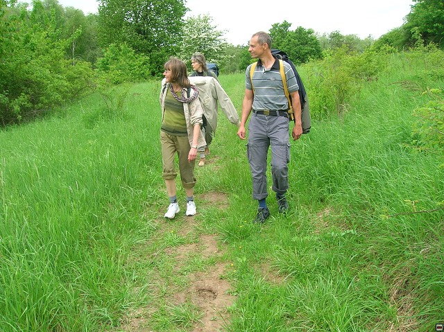 img00005.jpg