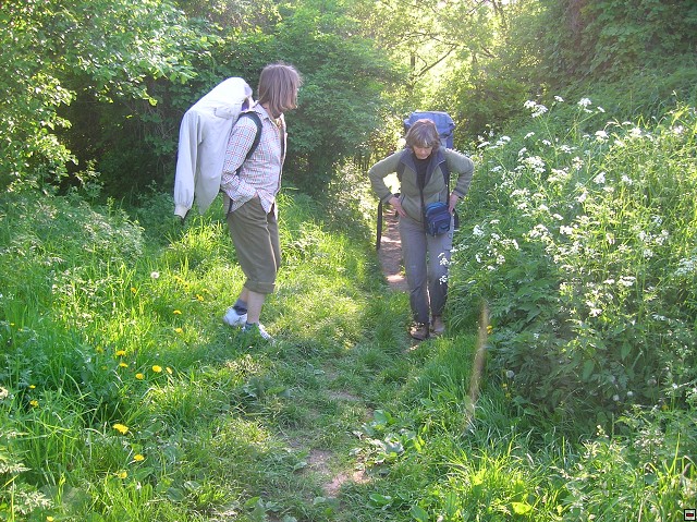 img00010.jpg