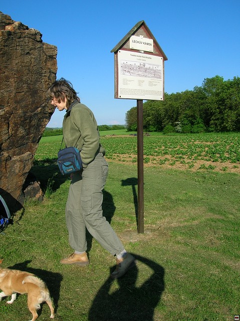 img00013.jpg