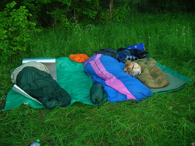 img00021.jpg