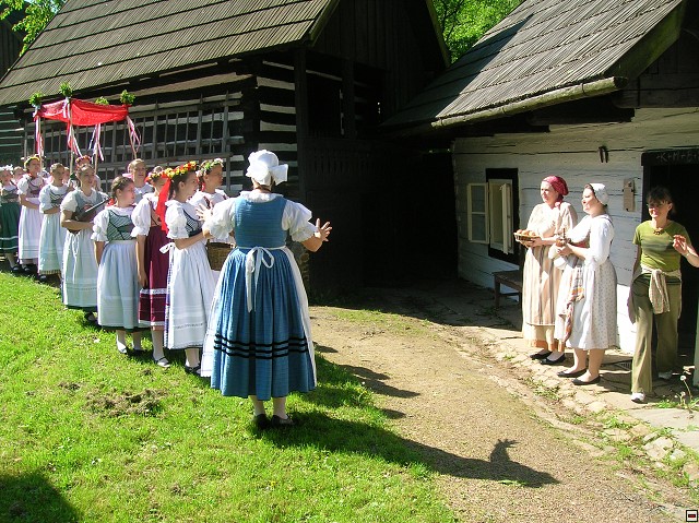 img00030.jpg