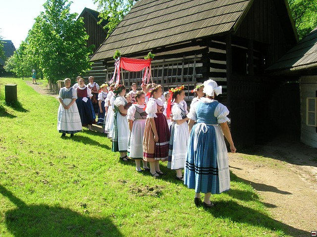 img00031.jpg