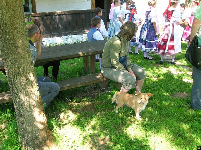 img00035.jpg