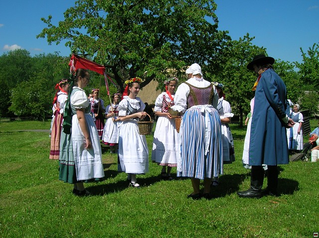 img00036.jpg