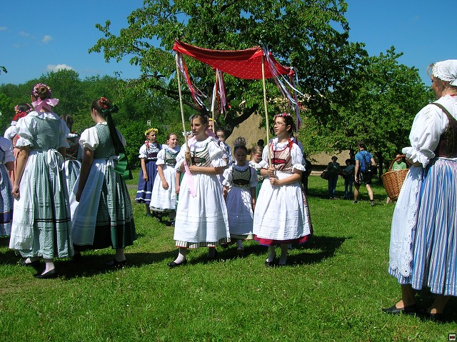 img00037.jpg