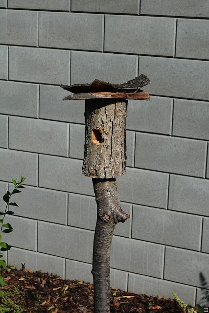 img00005.jpg