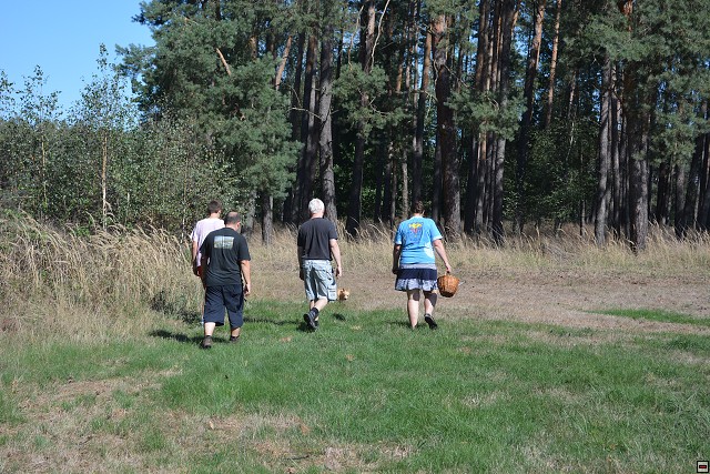 img00009.jpg