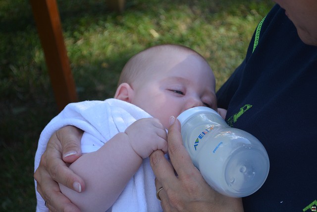 img00055.jpg