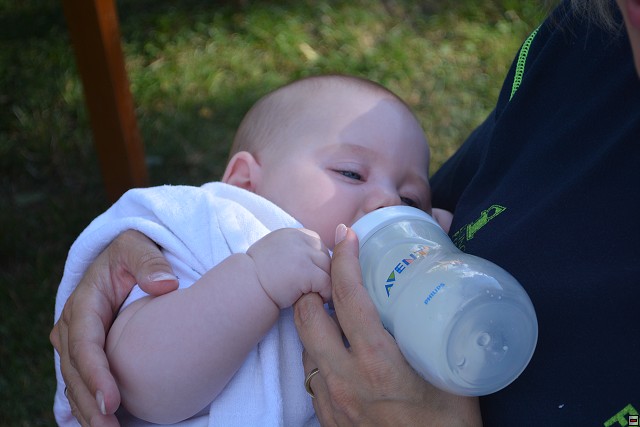 img00056.jpg