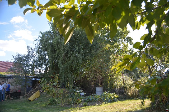 img00086.jpg