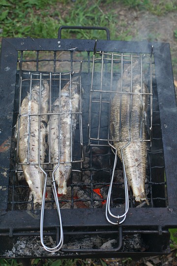 img00030.jpg