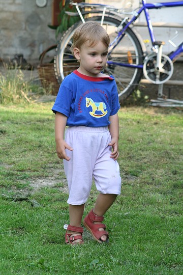 img00031.jpg
