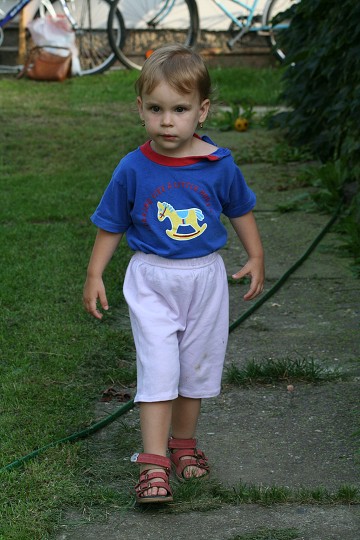 img00032.jpg