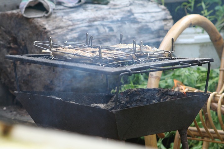 img00036.jpg