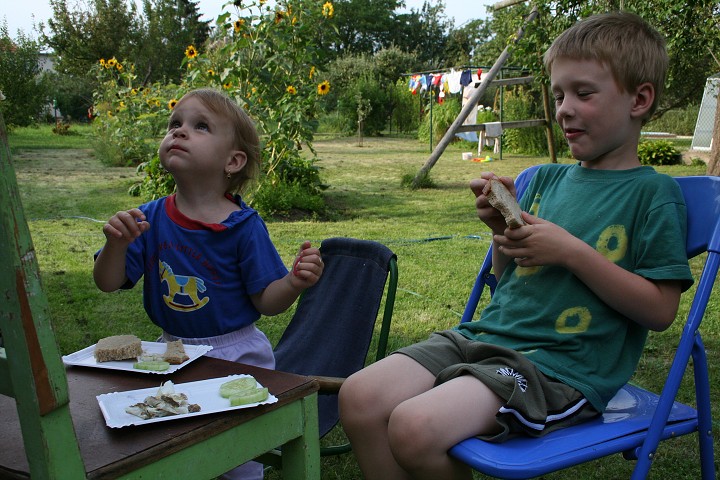 img00039.jpg