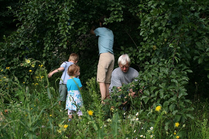 img00052.jpg
