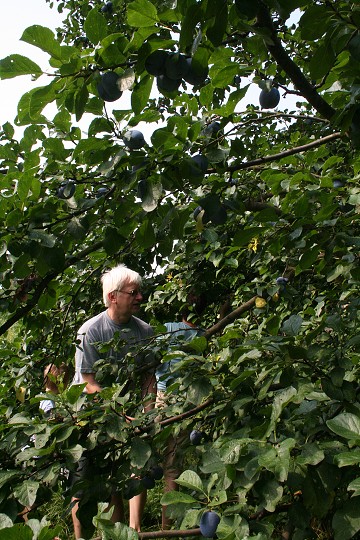 img00054.jpg