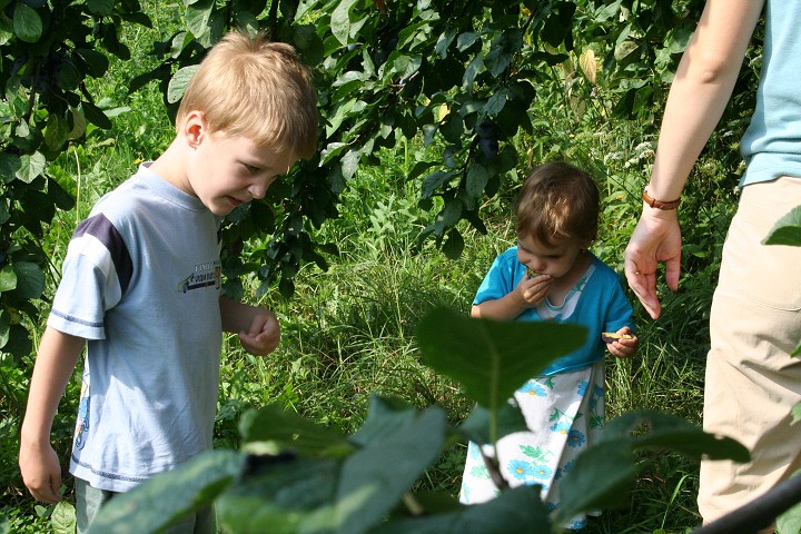 img00055.jpg