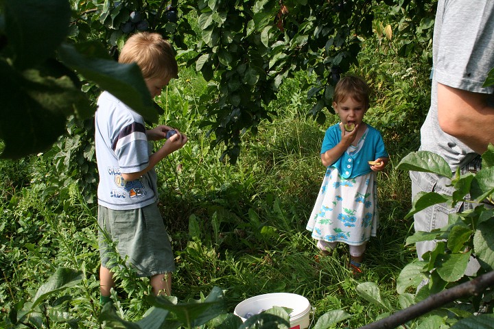 img00056.jpg
