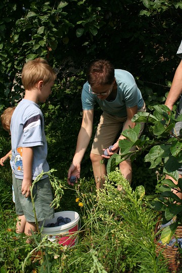 img00058.jpg