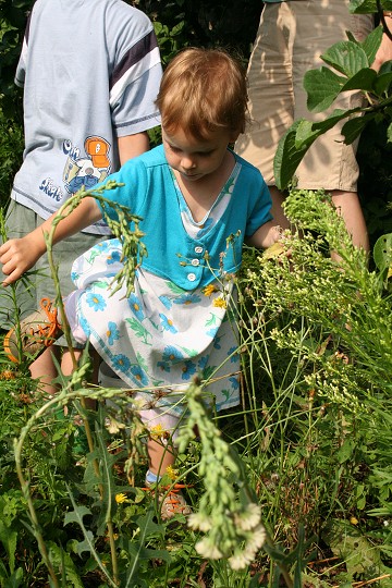 img00059.jpg