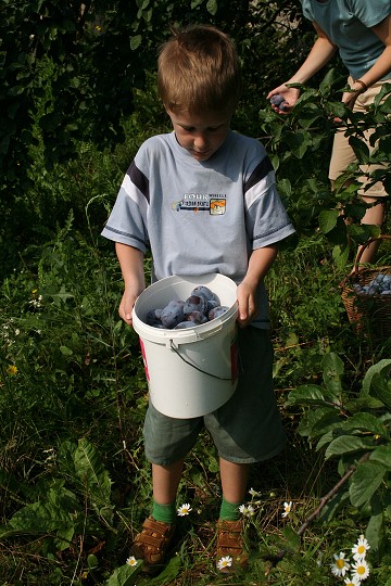 img00060.jpg