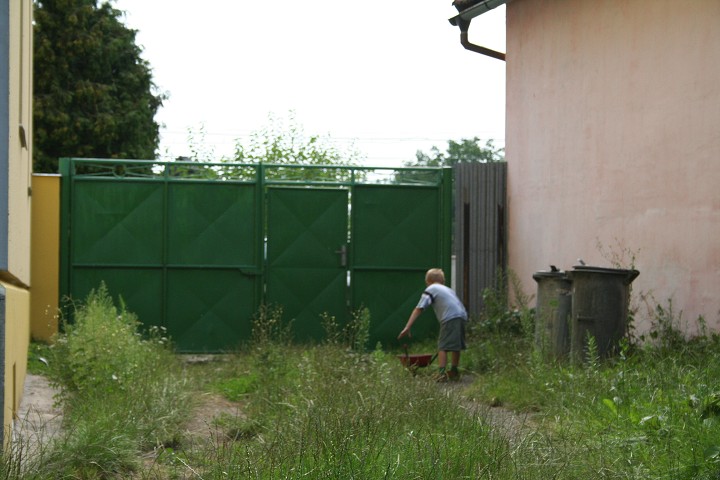 img00081.jpg