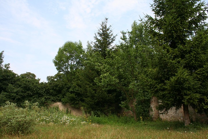 img00085.jpg