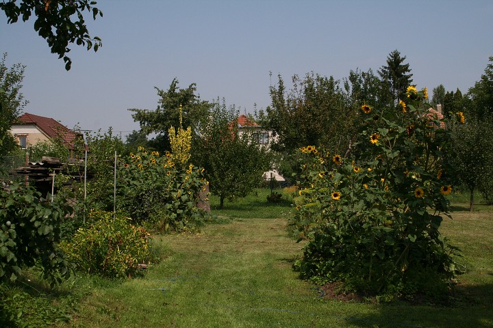 img00087.jpg
