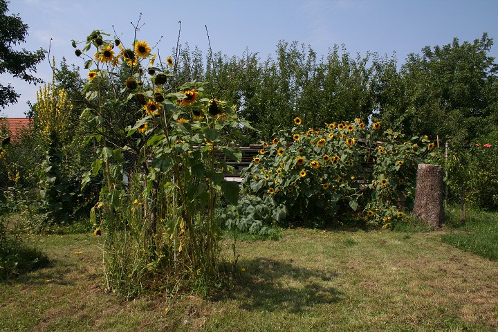 img00092.jpg
