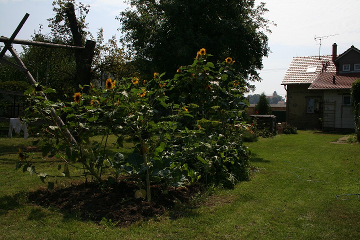 img00094.jpg