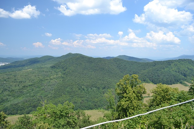 img00004.jpg