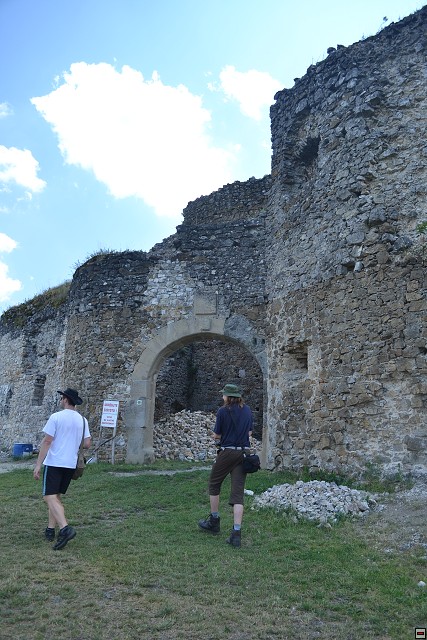 img00007.jpg