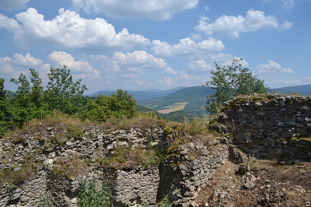 img00010.jpg