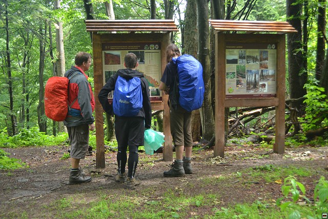 img00014.jpg