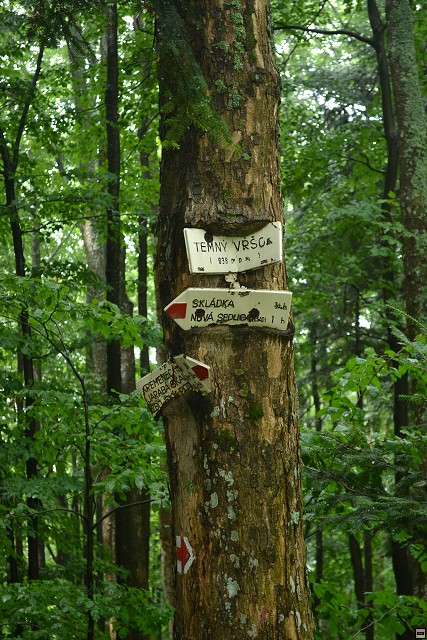 img00015.jpg