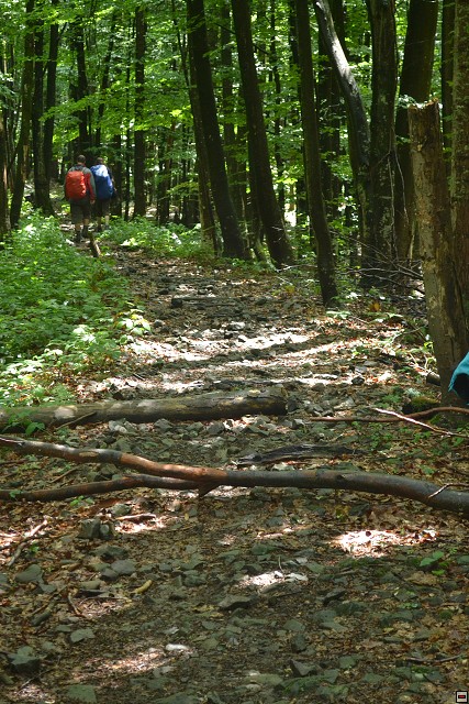 img00022.jpg